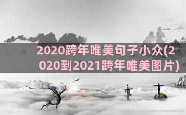 2020跨年唯美句子小众(2020到2021跨年唯美图片)