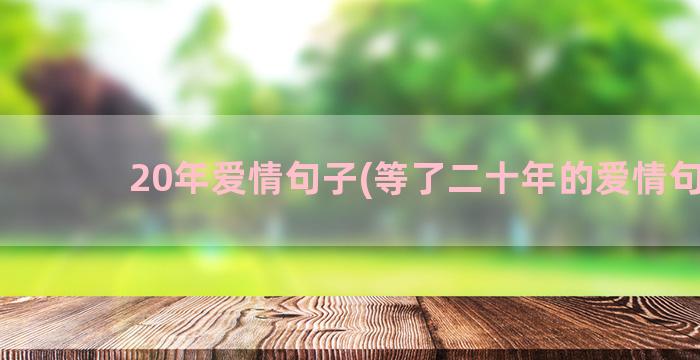 20年爱情句子(等了二十年的爱情句子)