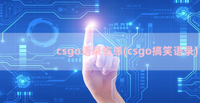 csgo语录伤感(csgo搞笑语录)