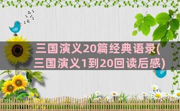 三国演义20篇经典语录(三国演义1到20回读后感)