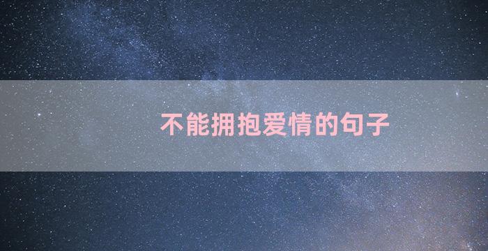 不能拥抱爱情的句子