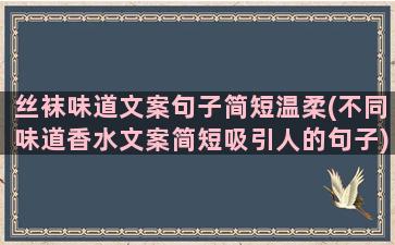 丝袜味道文案句子简短温柔(不同味道香水文案简短吸引人的句子)