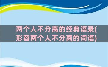 两个人不分离的经典语录(形容两个人不分离的词语)