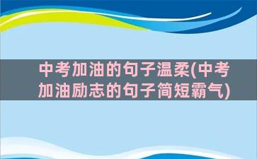 中考加油的句子温柔(中考加油励志的句子简短霸气)