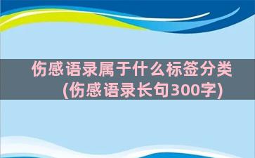 伤感语录属于什么标签分类(伤感语录长句300字)