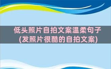 低头照片自拍文案温柔句子(发照片很酷的自拍文案)