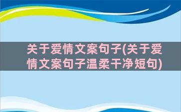 关于爱情文案句子(关于爱情文案句子温柔干净短句)