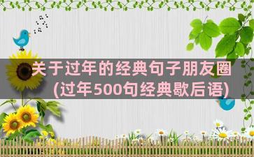 关于过年的经典句子朋友圈(过年500句经典歇后语)