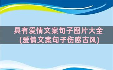 具有爱情文案句子图片大全(爱情文案句子伤感古风)