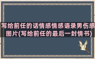 写给前任的话情感情感语录男伤感图片(写给前任的最后一封情书)