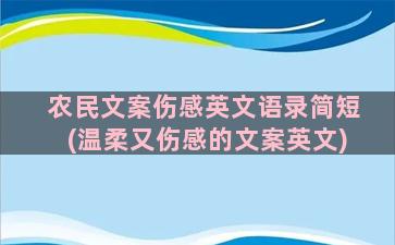 农民文案伤感英文语录简短(温柔又伤感的文案英文)