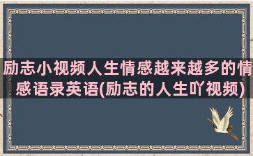 励志小视频人生情感越来越多的情感语录英语(励志的人生吖视频)