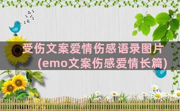 受伤文案爱情伤感语录图片(emo文案伤感爱情长篇)