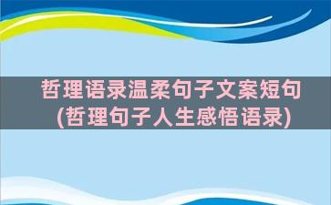 哲理语录温柔句子文案短句(哲理句子人生感悟语录)