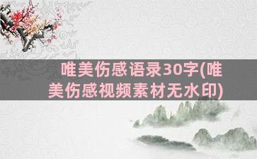 唯美伤感语录30字(唯美伤感视频素材无水印)