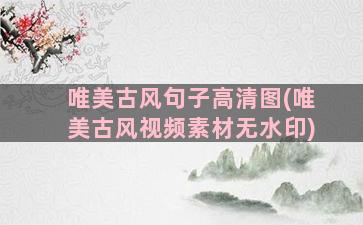 唯美古风句子高清图(唯美古风视频素材无水印)