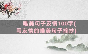 唯美句子友情100字(写友情的唯美句子摘抄)