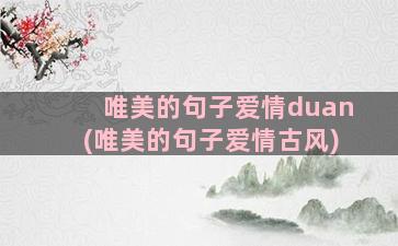 唯美的句子爱情duan(唯美的句子爱情古风)