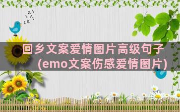 回乡文案爱情图片高级句子(emo文案伤感爱情图片)