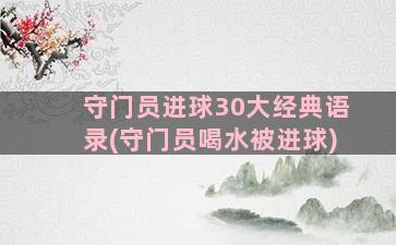 守门员进球30大经典语录(守门员喝水被进球)