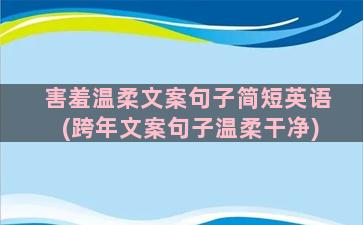 害羞温柔文案句子简短英语(跨年文案句子温柔干净)