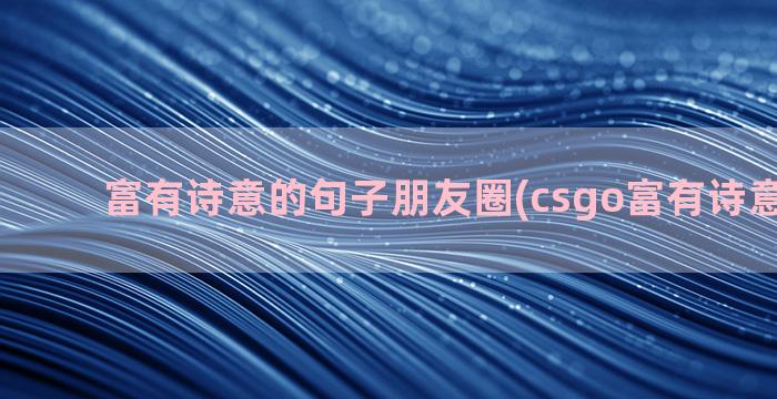 富有诗意的句子朋友圈(csgo富有诗意的句子)