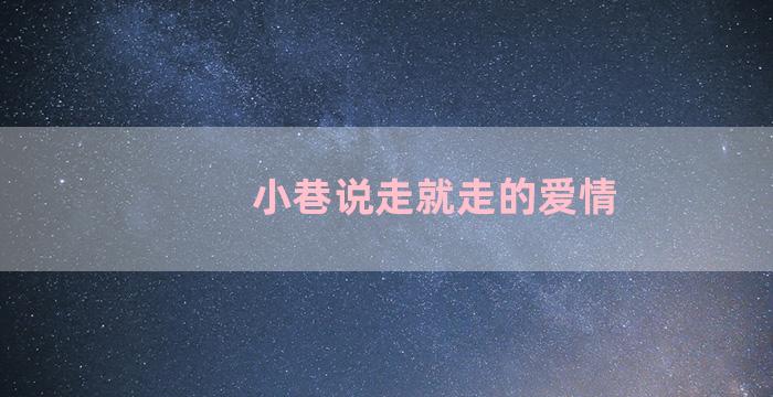 小巷说走就走的爱情