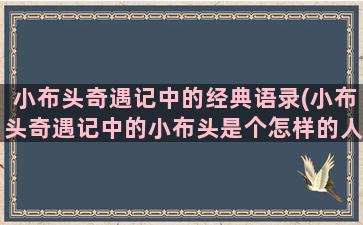 小布头奇遇记中的经典语录(小布头奇遇记中的小布头是个怎样的人物)