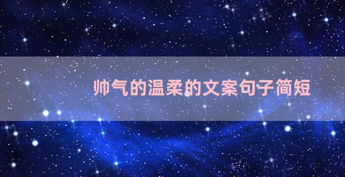 帅气的温柔的文案句子简短