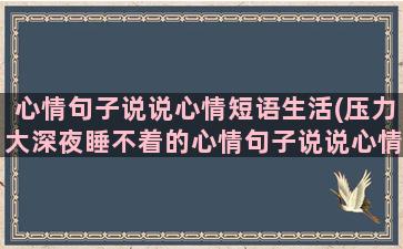 心情句子说说心情短语生活(压力大深夜睡不着的心情句子说说心情)