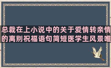 总裁在上小说中的关于爱情转亲情的离别祝福语句简短医学生风景唯美语录(总裁在上小说全文免费阅读)