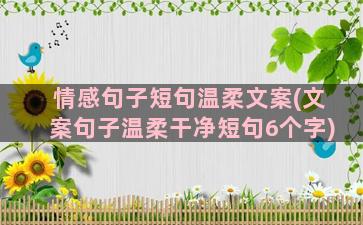 情感句子短句温柔文案(文案句子温柔干净短句6个字)