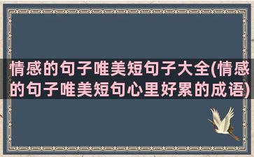 情感的句子唯美短句子大全(情感的句子唯美短句心里好累的成语)