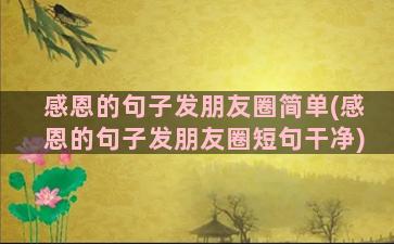 感恩的句子发朋友圈简单(感恩的句子发朋友圈短句干净)