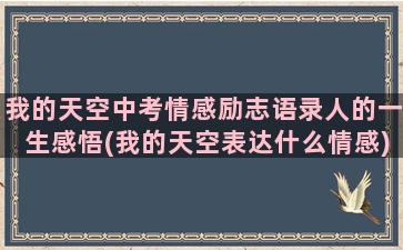 我的天空中考情感励志语录人的一生感悟(我的天空表达什么情感)