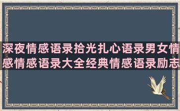 深夜情感语录拾光扎心语录男女情感情感语录大全经典情感语录励志语录暖心(深夜情感文案语录)