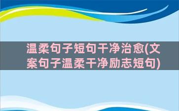 温柔句子短句干净治愈(文案句子温柔干净励志短句)