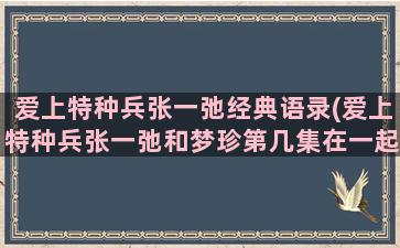 爱上特种兵张一弛经典语录(爱上特种兵张一弛和梦珍第几集在一起)