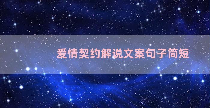 爱情契约解说文案句子简短