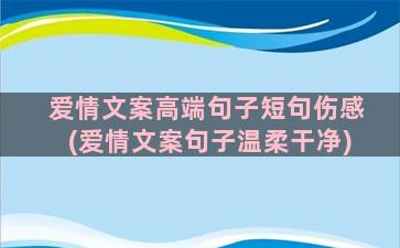 爱情文案高端句子短句伤感(爱情文案句子温柔干净)