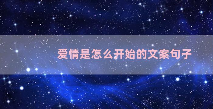 爱情是怎么开始的文案句子