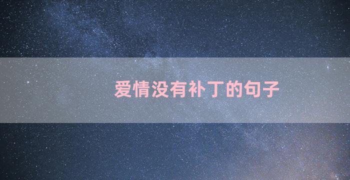 爱情没有补丁的句子