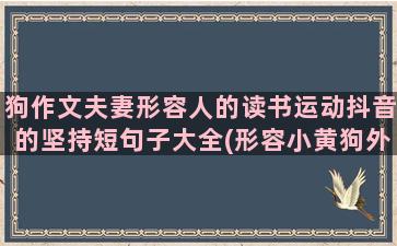 狗作文夫妻形容人的读书运动抖音的坚持短句子大全(形容小黄狗外貌的作文)