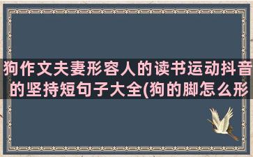 狗作文夫妻形容人的读书运动抖音的坚持短句子大全(狗的脚怎么形容作文)