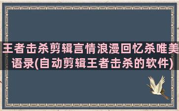 王者击杀剪辑言情浪漫回忆杀唯美语录(自动剪辑王者击杀的软件)