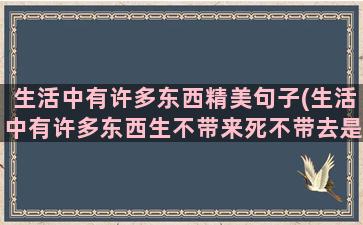 生活中有许多东西精美句子(生活中有许多东西生不带来死不带去是什么歌)