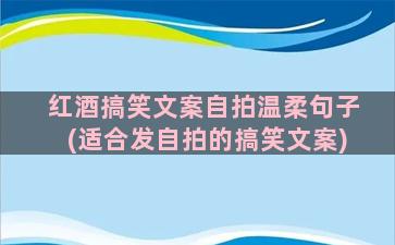 红酒搞笑文案自拍温柔句子(适合发自拍的搞笑文案)