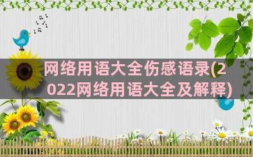 网络用语大全伤感语录(2022网络用语大全及解释)