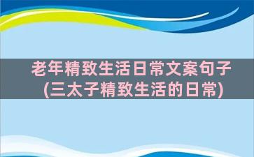 老年精致生活日常文案句子(三太子精致生活的日常)