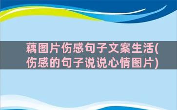 藕图片伤感句子文案生活(伤感的句子说说心情图片)